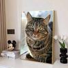 Kit Pittura Diamante 5D Gatto, Fai da Te Trapano Completo Punto Croce Artigianato Decorazione Murale per la Casa
