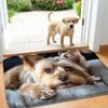 Cute Animal Welcome Doormat Kitchen Rug Bathroom Mat Washroom Floor Mat Carpet for Entrance Door Door Mat Funny Home Decoration