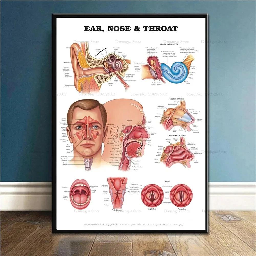 Abstrakcyjna Figura Tancerki Obraz na Płótnie Druki i Plakaty Dziewczyna Baletnica Sztuka Ścienna Obrazy Do Salonu Dekoracja Domu Cuadros