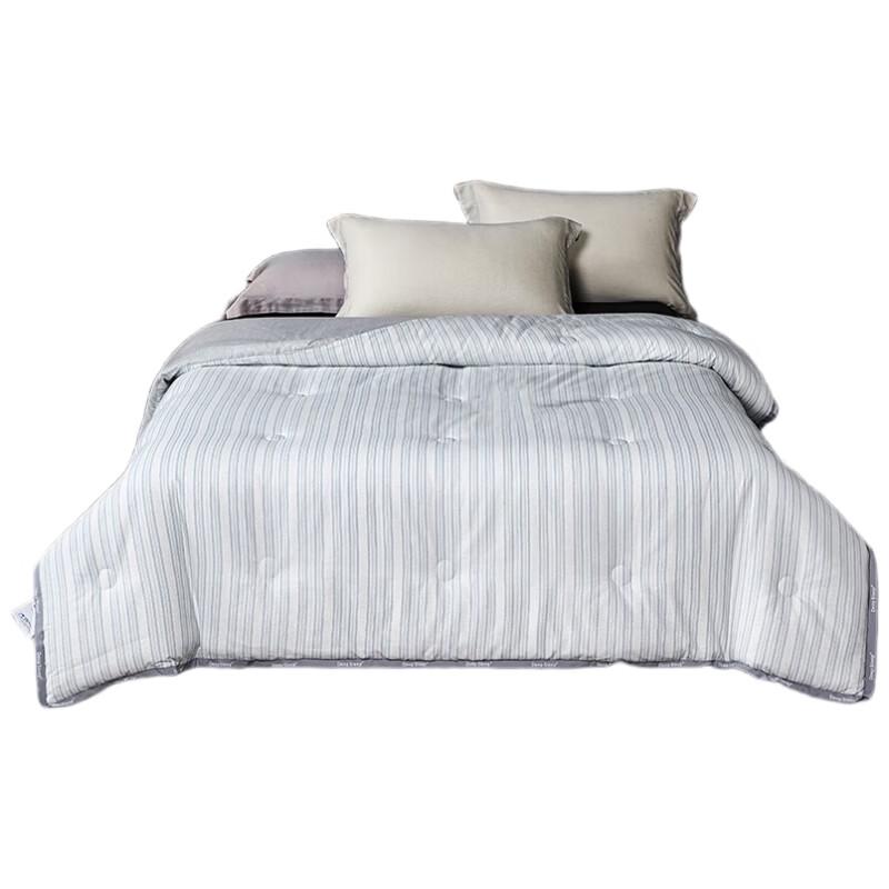 Jin Si Li Antibacterial Winter Quilt