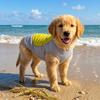 Breathable Mesh Pet Cooling Shirt Sun Protection Dog Ice Cool T-shirt  Outdoor Walking Dog