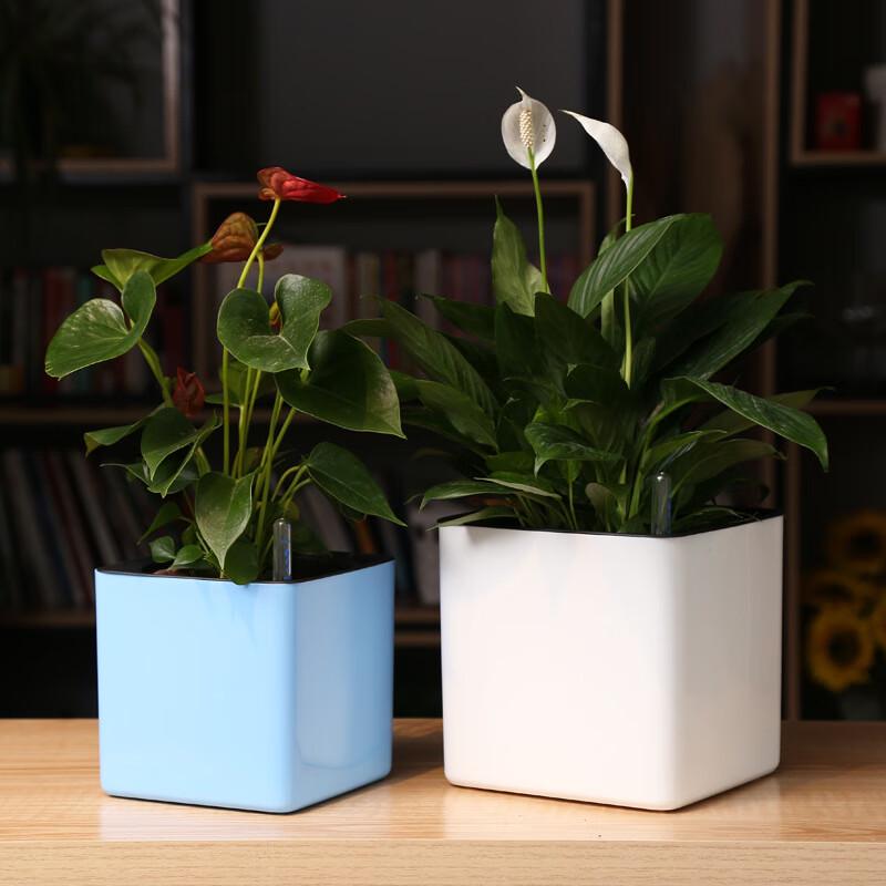 Square Self-Watering Planter with Water Level Indicator