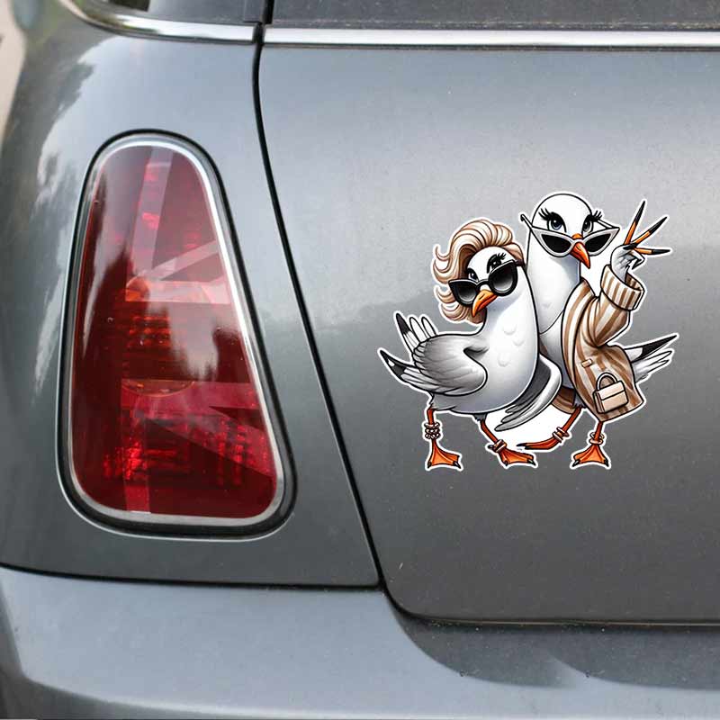 Humoristinis kvailas žuvėdra automobilio lipdukas Vandeniui atsparus vinilo lipdukas ant buferio galinio lango nešiojamojo kompiuterio lipdukas su lipniais pagrindais Automobilio aksesuarams TM243