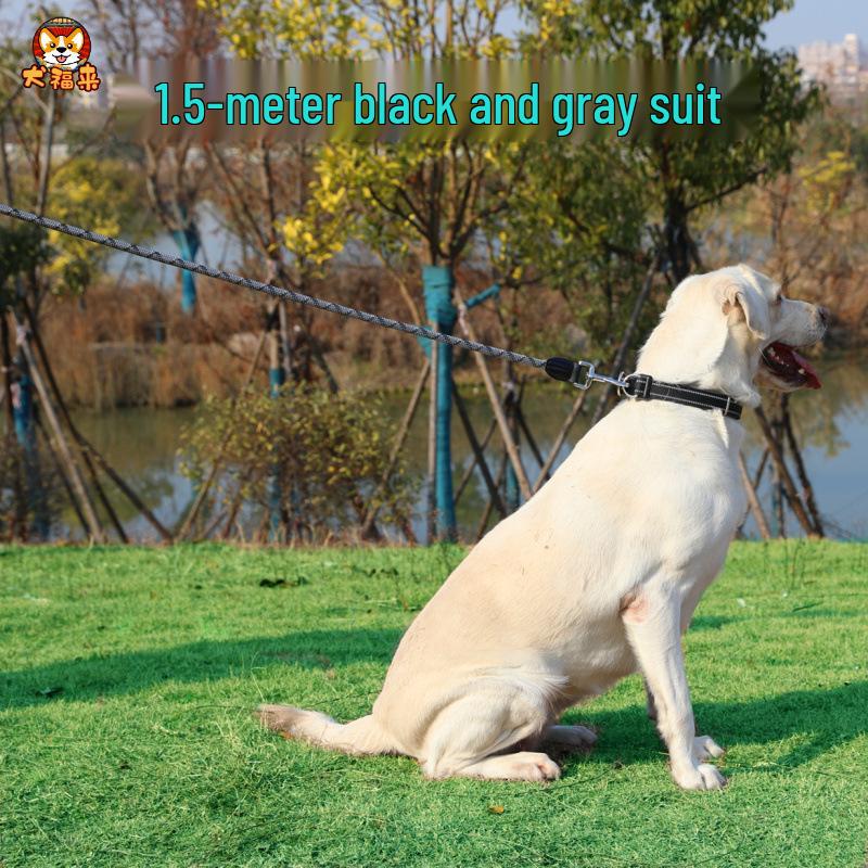 2m Anti-Shock Dog Leash with Collar for Medium & Large Breeds - Golden Retriever & Teddy Training Rope