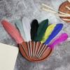 Silver Rod Ballpoint pen Colorful Feather Pen Exquisite Neutral pen  Daily