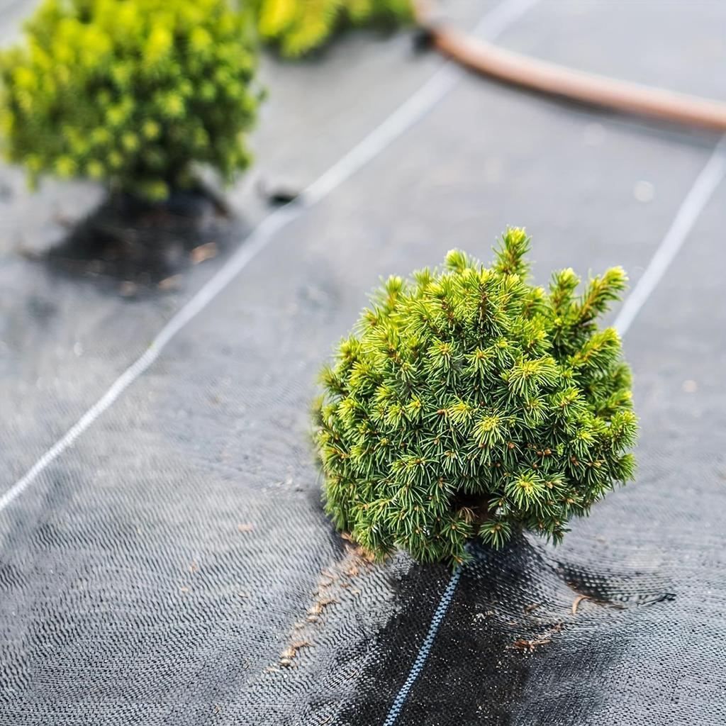 Schwarzes Hochleistungs-Gartengewebe - Unkrautvlies und Bodendecker für Blumen, Gemüse, Hochbeete, Rasen und Gärten