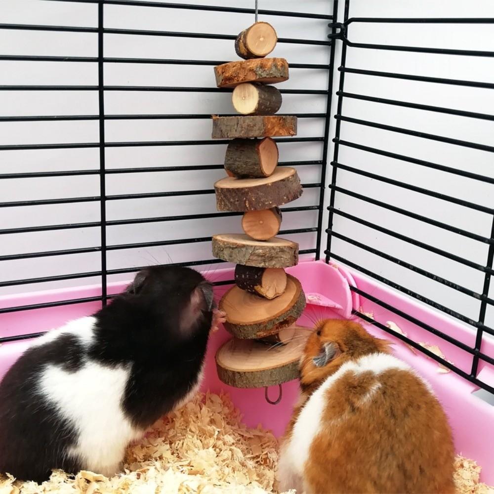 Grinding Teeth Pet Roller Toys Gnawing Hanging Swing Toys New Pet Hamster Toys Pet Supplies