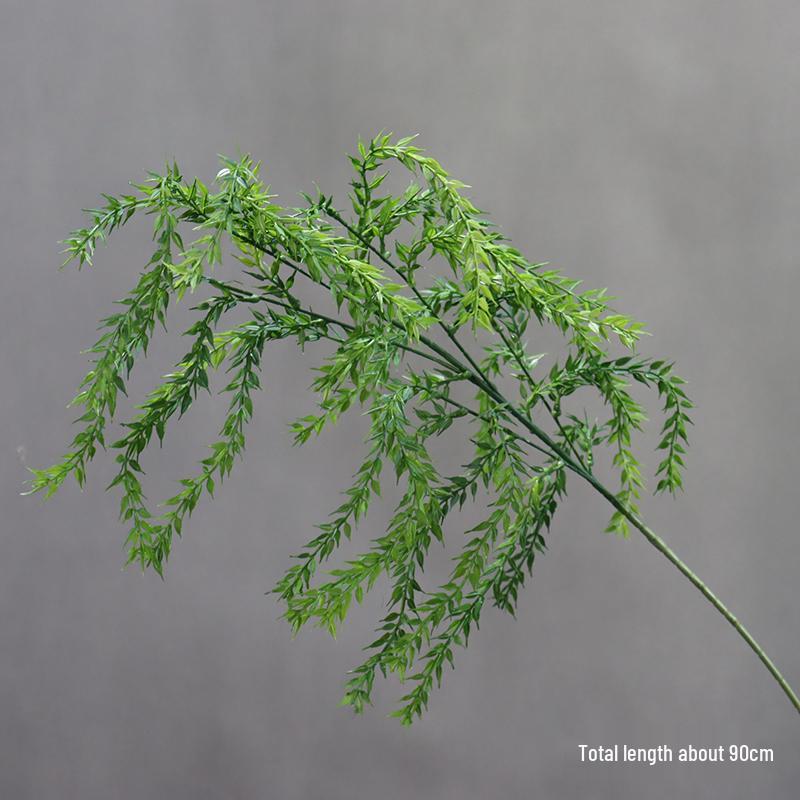 Asparagus Fern & Willow Buds Greenery for Wedding Decor & Landscaping