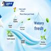 Darlie Aqua Fresh Mint Toothpaste (10-Pack)