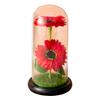 Artificial Sunflower Eternal Flowers Witch Home Decor Romantic Atmosphere Lamp Gift For Partner Friend Valentine's Day