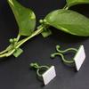 10pcs Green Tree Climbing Wall Tool Green Tree Fixing Vine Fixing Clamp Climbing Hook Green Buckle Ring Traceless Green Plant Fixing Device