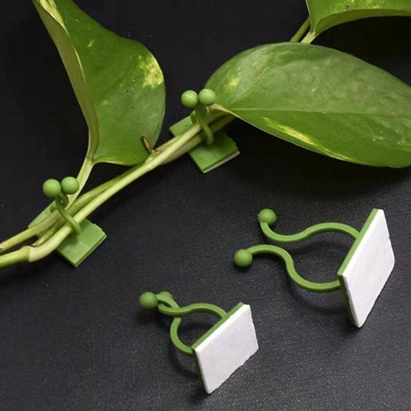 

10 шт. Зеленый инструмент для лазания по деревьям, Зеленый зажим для фиксации лозы, Крюк для лазания, Зеленое кольцо с пряжкой, Бесследное устройство для фиксации зеленых растений 10pcs зелёный