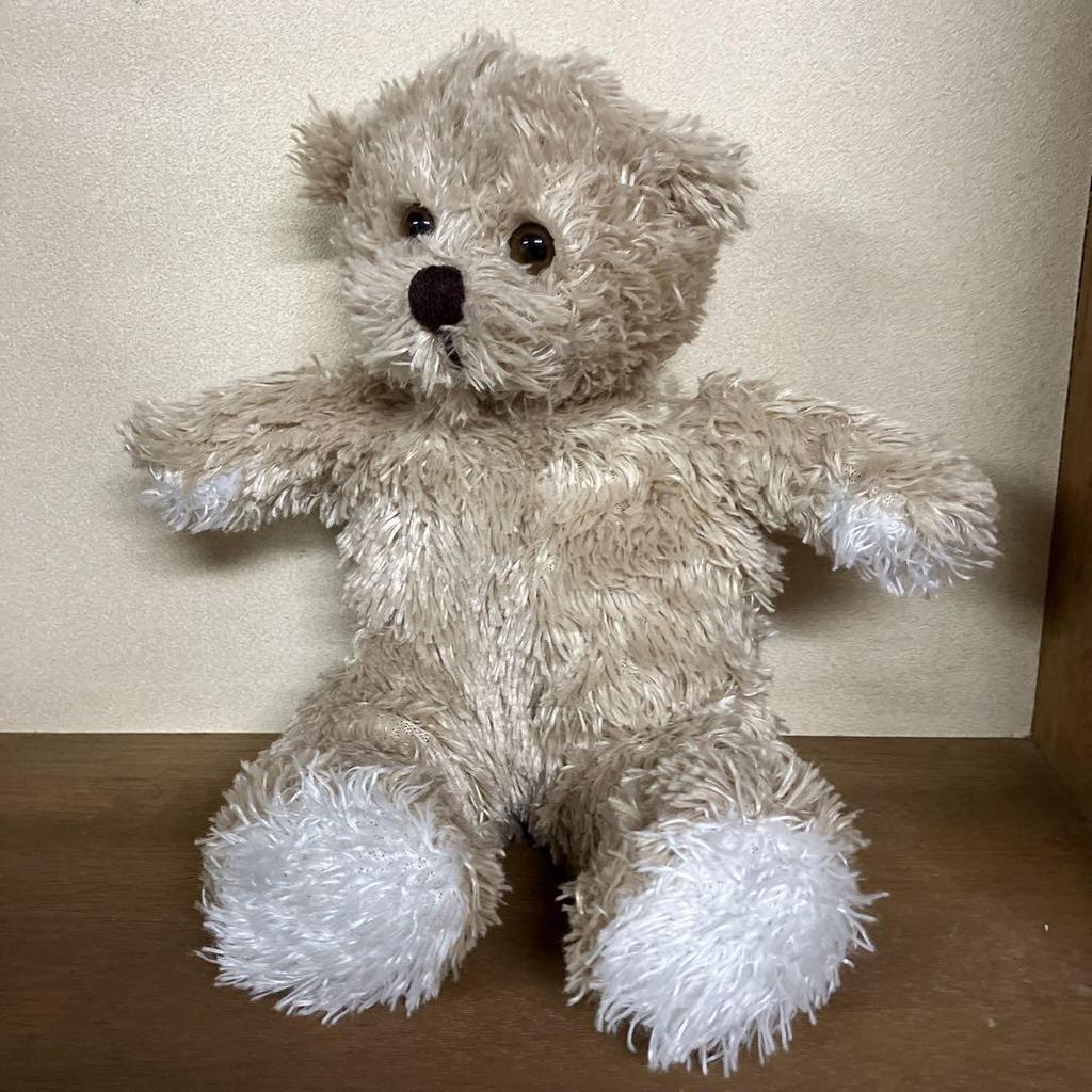 [USED] German-made Teddy Bear, Stuffed Animal, Bear, German Football Association Bremen GmbH