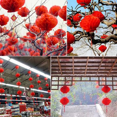 10Pcs 2023 Chinese Year Traditional Chinese Red Paper Lanterns Decoration