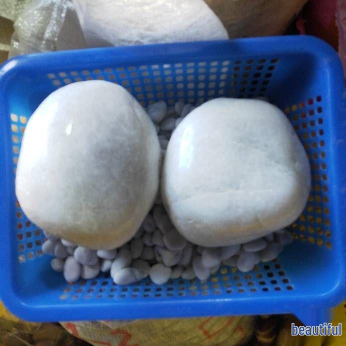 Polished White Natural Pebble Stones for Hydroponics, Fish Tanks, Landscaping, and Balcony Decor