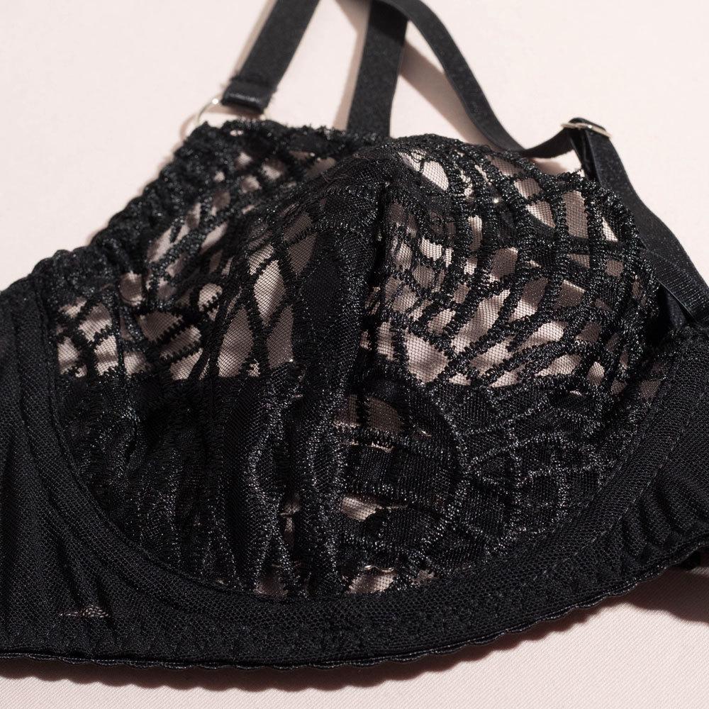 Lace Sexy Lingerie Transparent  Porno Lace Erotic Outfit Ladies Sexy Bra Set Romantic Fancy See Through Bra Panties Lingeries