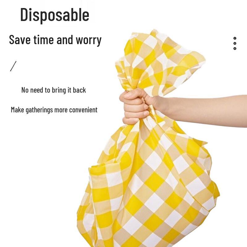 Portable Disposable Picnic Mat