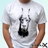 Na górę (chłopcy od 4 lat) – T-shirty i koszulki