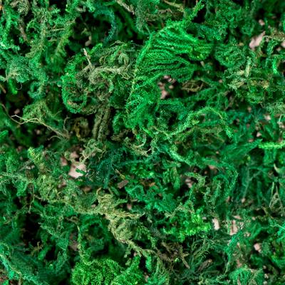 Artificial Fake Moss 10 Ounce Craft Moss Artificial Moss Floral
