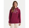 Cotopaxi Llama Patch Pullover Hoodie
