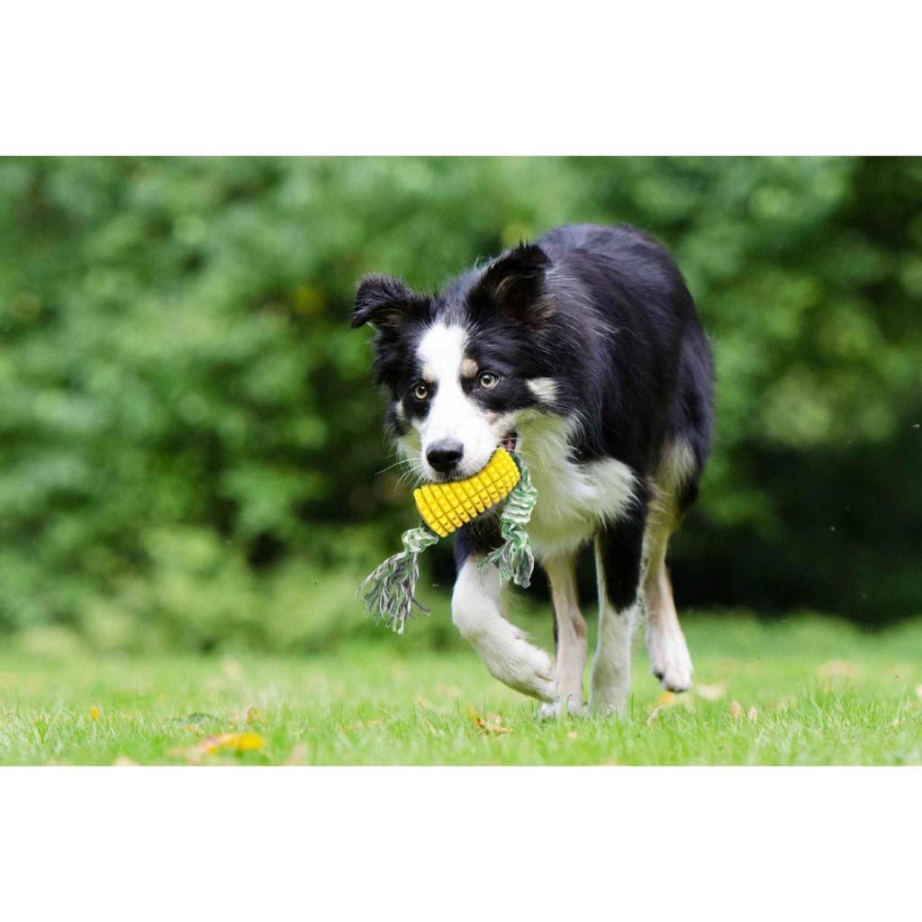 Haustierbedarf Hundespielzeug Zähne Putzstock Zahntragende Zahnbürste Maisgürtel Seil