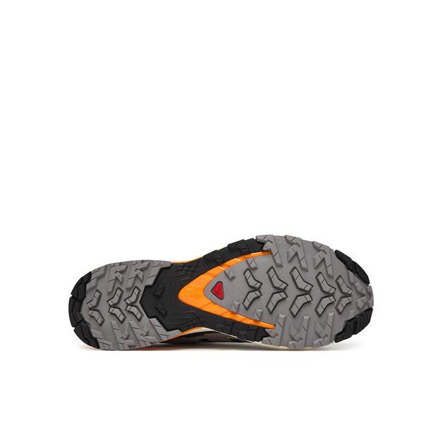 Треккинговые ботинки Salomon Xa Pro 3D V9