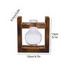 Wooden Stand Hydroponic Glass Vase Set for Pothos 3 Round Bulb Bottles with Clip Frame