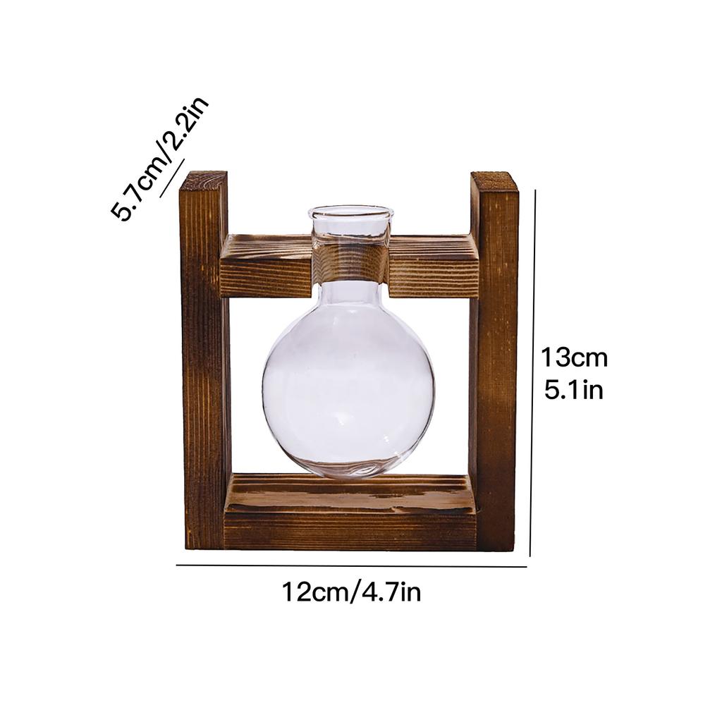 Wooden Stand Hydroponic Glass Vase Set for Pothos 3 Round Bulb Bottles with Clip Frame
