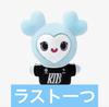 [USED] TWICE Nayeon Plush Toy Naburi "READY TO BE SPECIAL