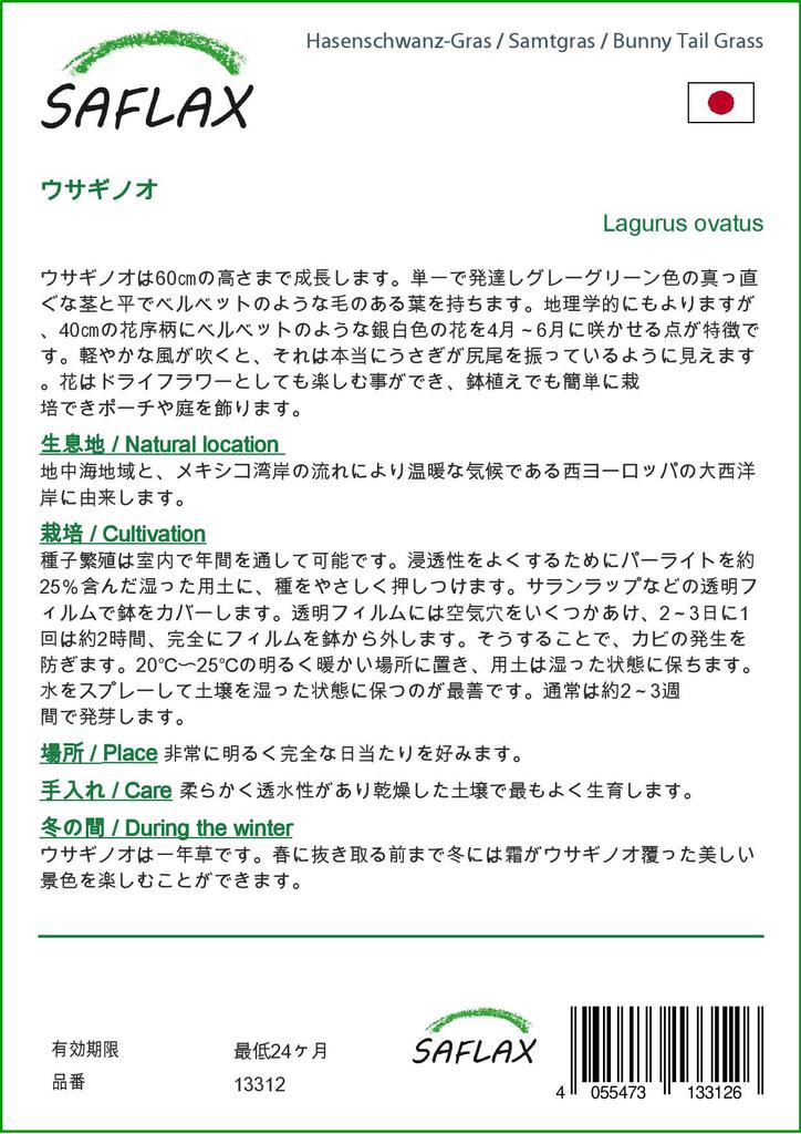 SAFLAX Garden In the Bag - Bunny Tail Grass - 100 Seeds - With Substrate In a Fitting Stand Up Bag - Lagurus Ovatus