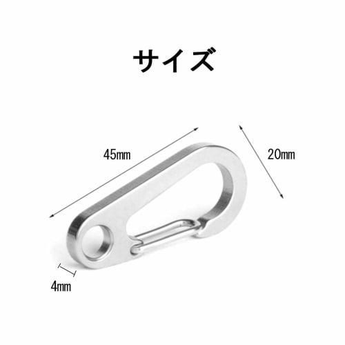 YFFSFDC Carabiner Snap Hooks, Pack of 10, 4.5cm, Mini Carabiners, SUS304 Stainless Steel, Lightweight, Durable, Stylish, Multifunctional, Spring Hooks