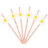 20pcs Eco Friendly Disposable Straws Paper Drinking Straw Party Supplies Daisy Straws  Wedding