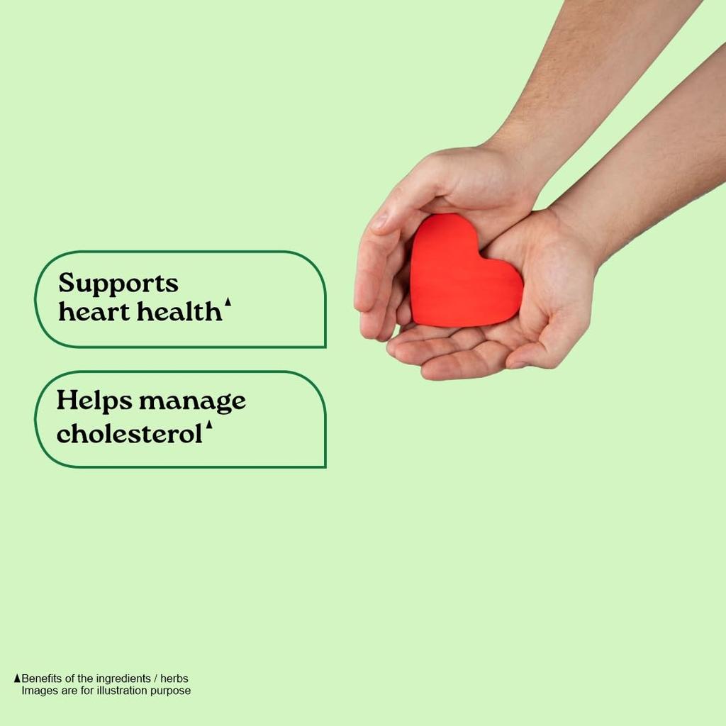 Organic India Lipid Care 60 Veg Capsules Pack of 2 Heart Health Cholesterol Support Supplement