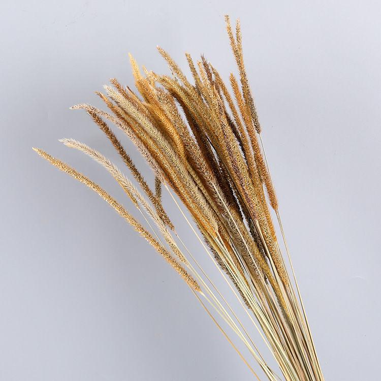 Preserved Eucalyptus & Sunflower Bouquet with Baby's Breath and Reeds – Perfect for Living Room Decor or Photography