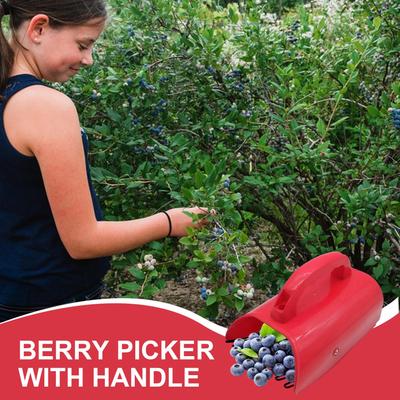 Bessenplukker met Handvat Oogstgereedschap Bessenplukker Roestvrij Fruitoogster Blauwe Bessen Harke Ergonomisch Handvat