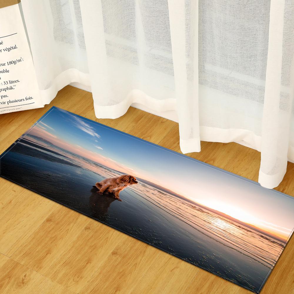 Animal Entry Mat Kitchen Absorbent Mat Bathroom Non-Slip Mat Bedroom Living Room Carpet Floor Mat