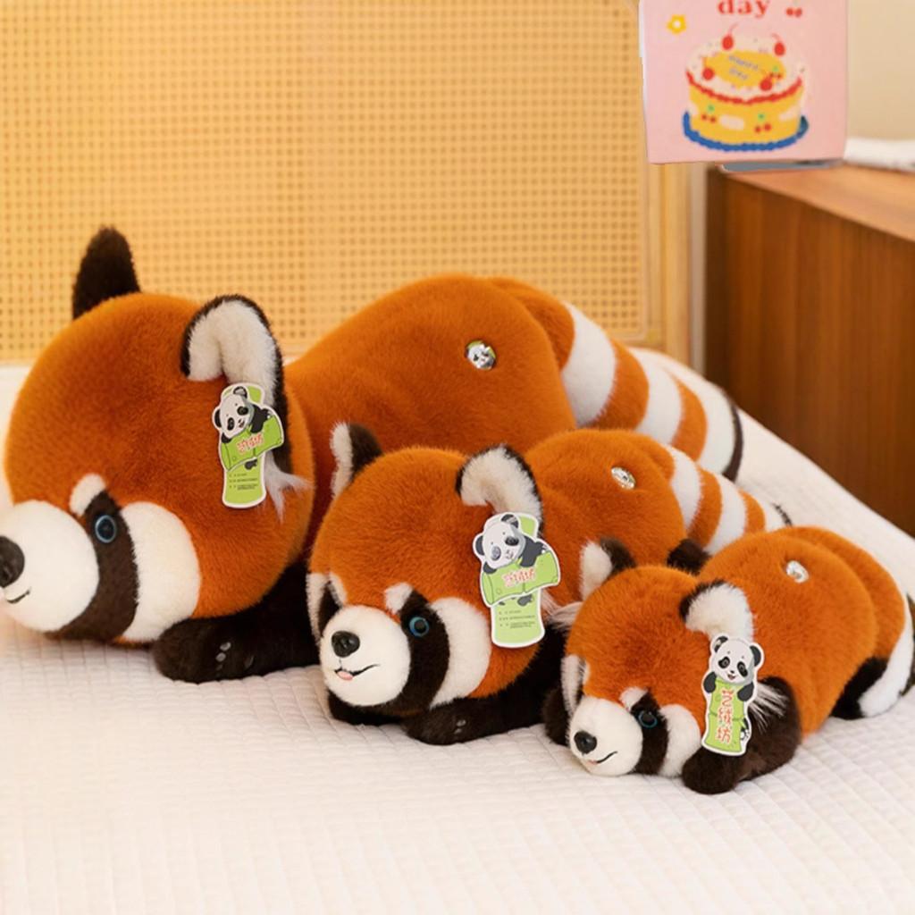 Cartoon Plush Raccoon Toys Children Dolls Gifts Bedroom Ornaments Home Decor