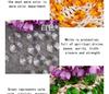 Octagonal Double-Hole Clear Acrylic Beads for DIY Money Tree Crafting