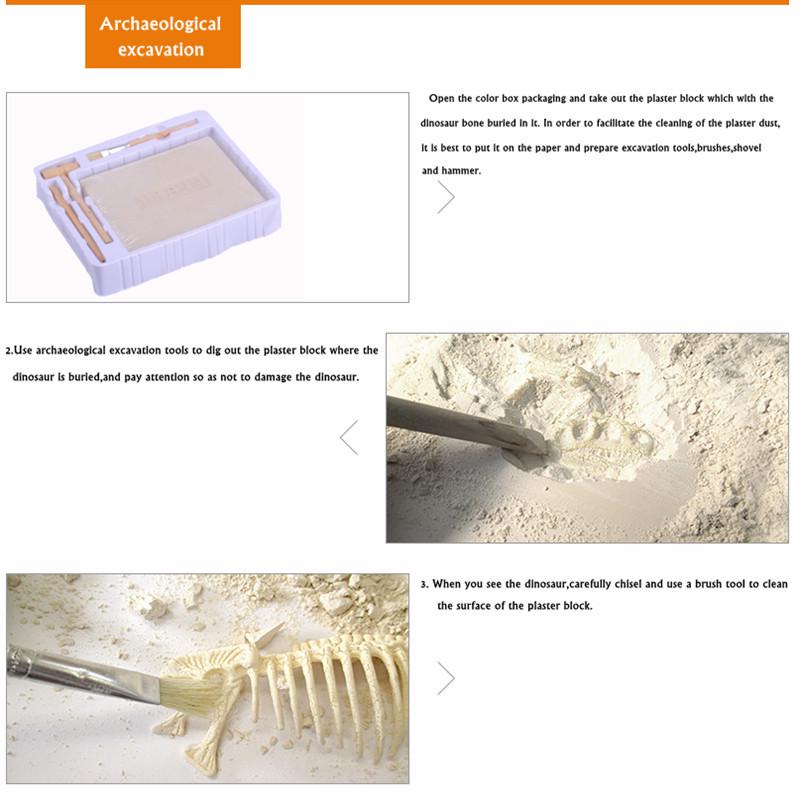NEW 6 Optional DIY Simulation Archaeological Excavation of Dinosaur Skeleton Fossil Model Educational Toys Gift for Children