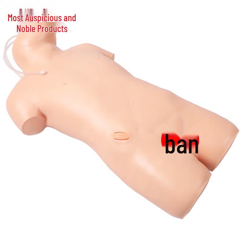 Adult Bone Marrow Puncture Simulation Model