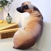 Cat & Dog Plush Toy - Corgi Chihuahua Cushion & Rag Doll