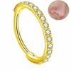 European & American Stainless Steel Zirconia Hoop Earrings and Seamless Nose Rings, Multi-functional Unisex Jewelry for Men and Women.