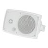 Wall-Mounted Speaker for Conference Rooms, Coffee Shops, Dance Studios, and Yoga Studios