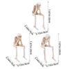 Halloween Skeleton Decorations 3 Pieces Halloween Figurine Prop Statue for Party Holiday Photo Backdrop Bedroom School Retail