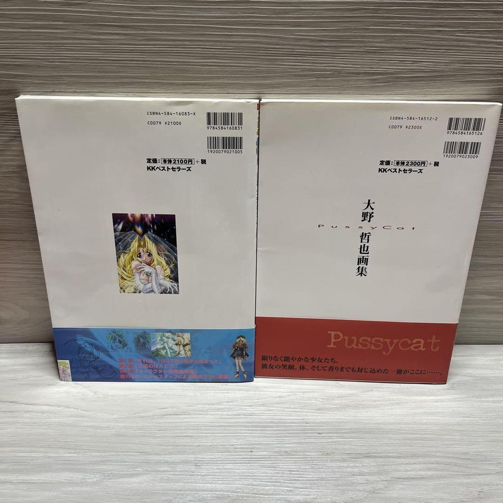 [USED] Tetsuya Ohno Art Book Meiking