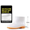 Food boots tall tube pure white waterproof and non-slip food kitchen hygiene water boots beef tendon wear-resistant warm rain boots