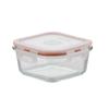 Crystal Grid Glass Lunch Box