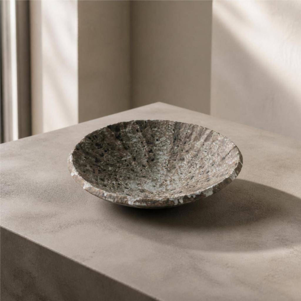 Low-Slung Ceramic Bowl with Lustrous Glaze Stylish Shallow