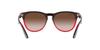 Sunglasses RB4471 IRIS 663113 GRAY ON TRANSPARENT RED 54 [Ray-Ban]
