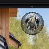 Howling Wolf Wind Spinner 10 Inch 2D Laser Cut Metal Art Decor 360 Rotating Hook for Outdoor Indoor Garden Yard Rustic Home Gift